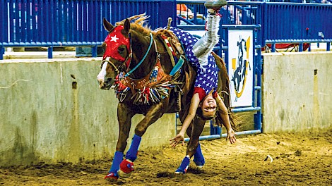 Photos by Tanya Clemons Photography