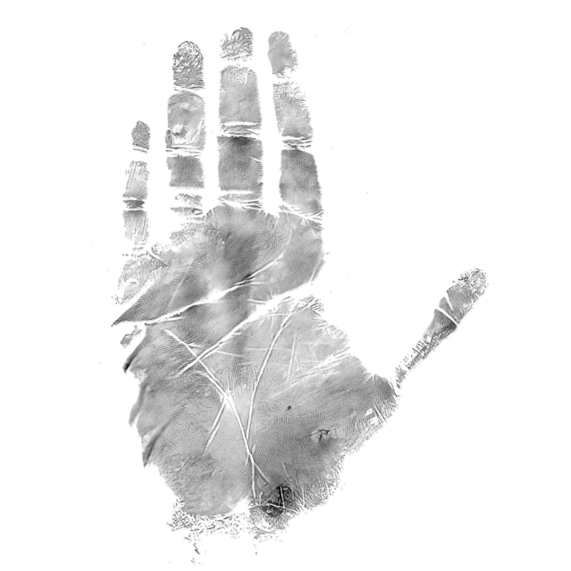 Handprint of the suspect from the 1946 Texarkana Phantom Killer case file released by the FBI.